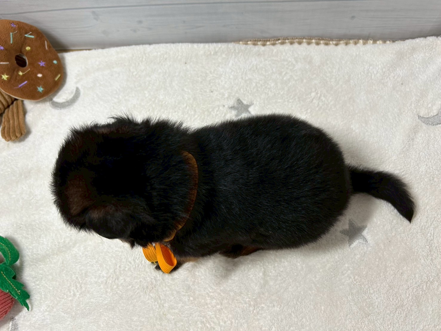 赤ちゃん写真2-3