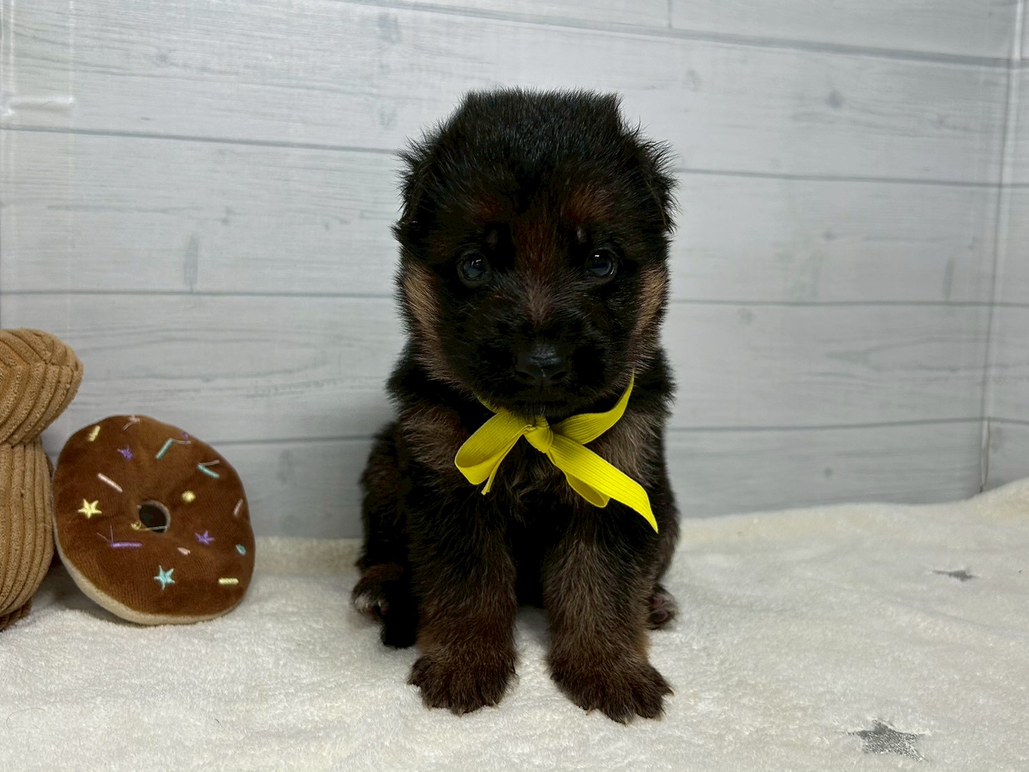 赤ちゃん写真2-1