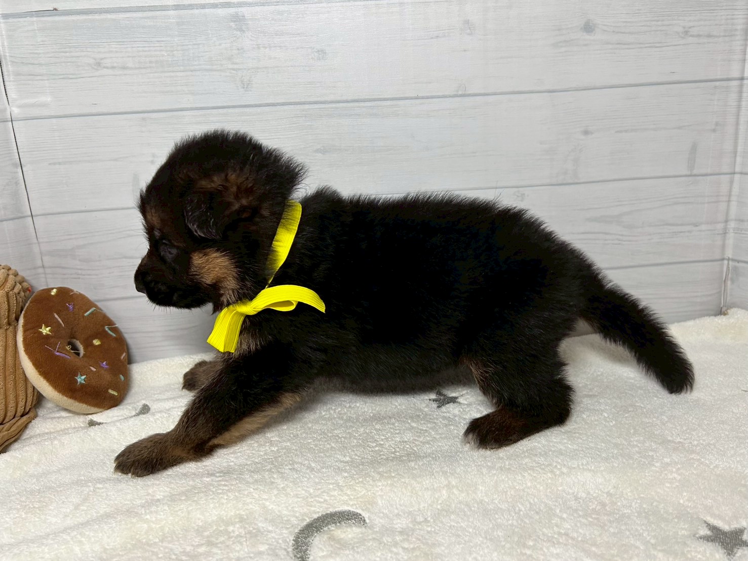 赤ちゃん写真2-2