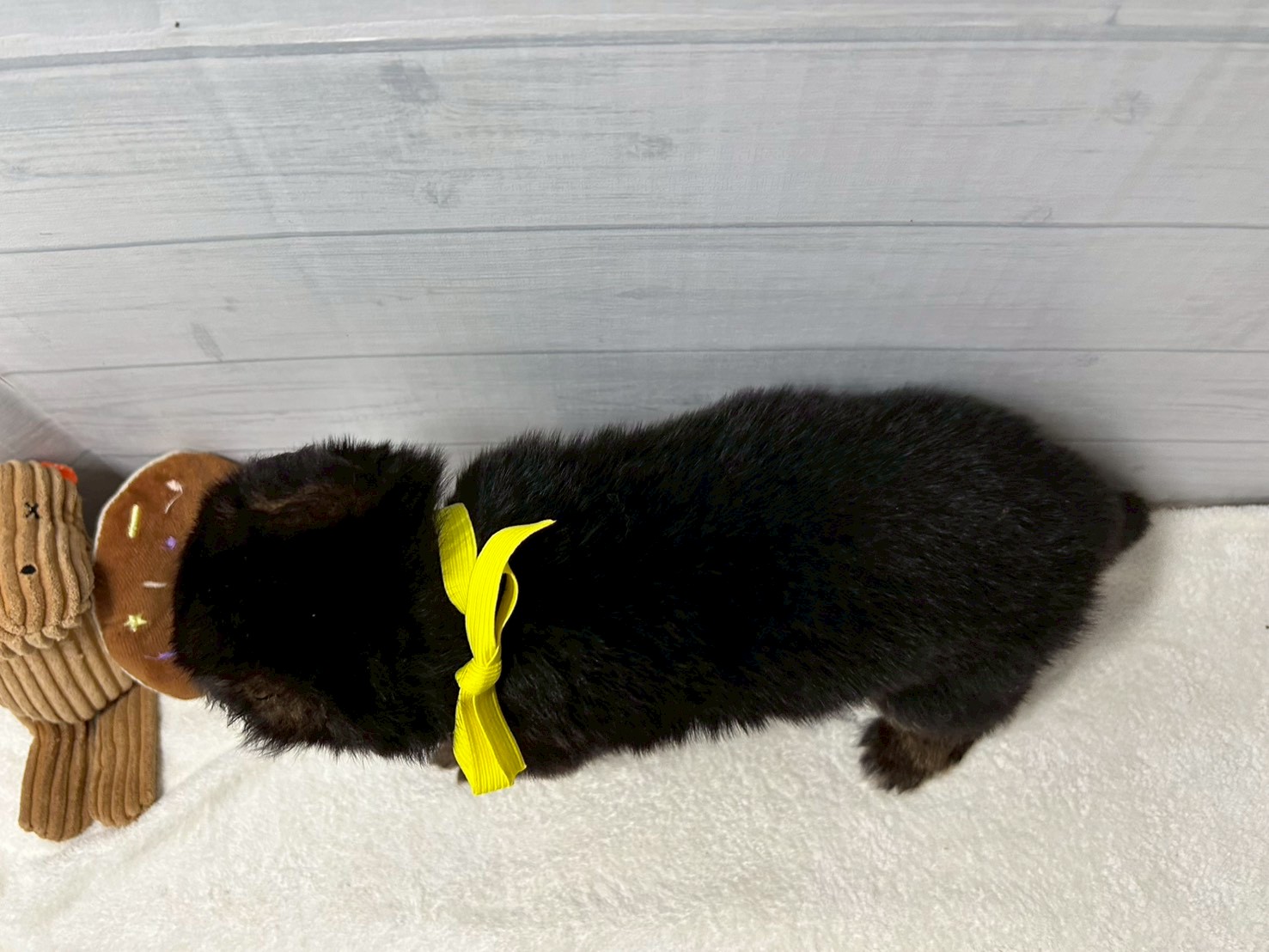 赤ちゃん写真2-3