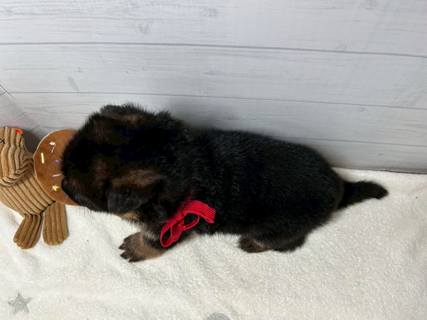 赤ちゃん写真2-3
