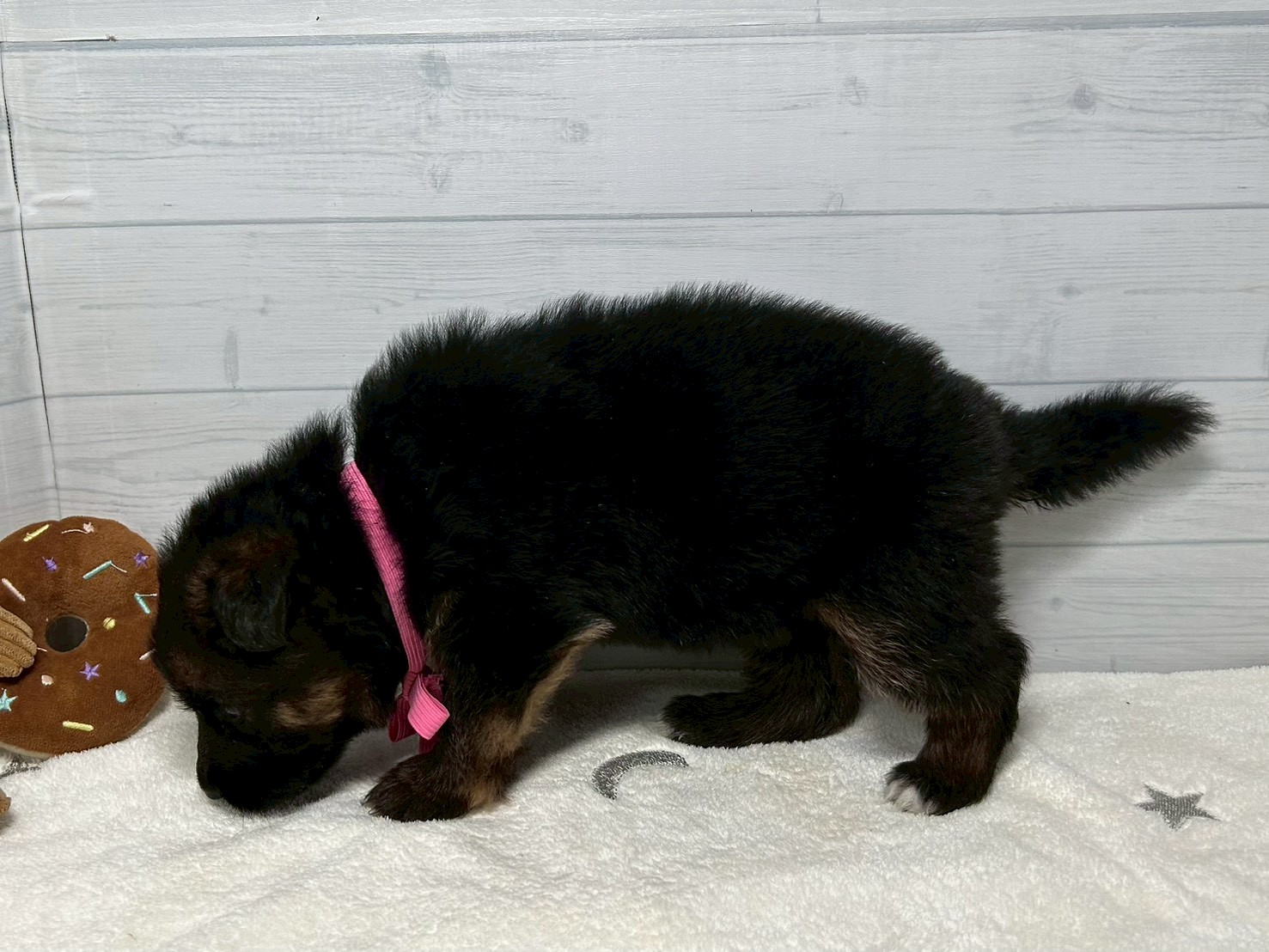 赤ちゃん写真2-2