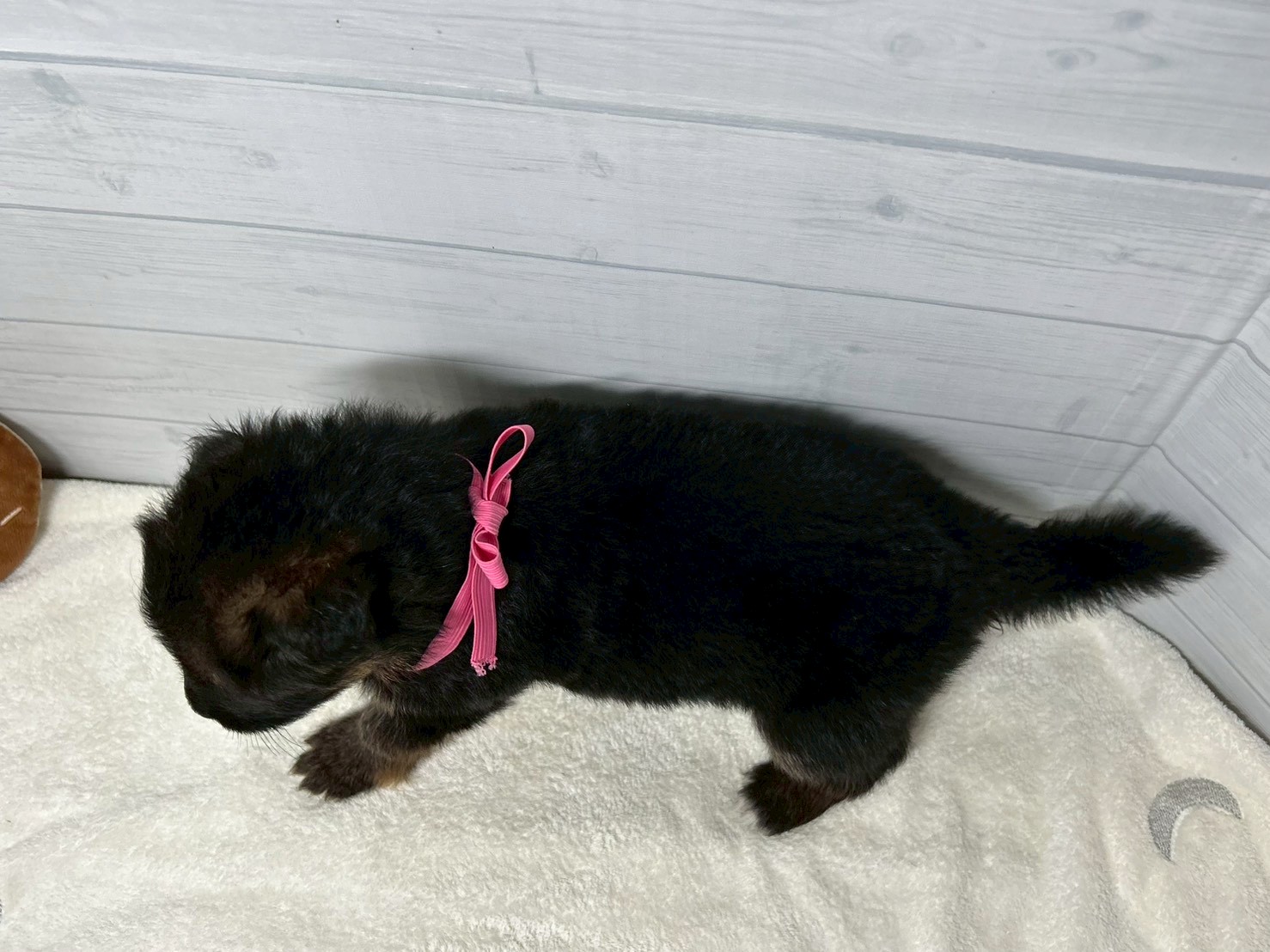 赤ちゃん写真2-3