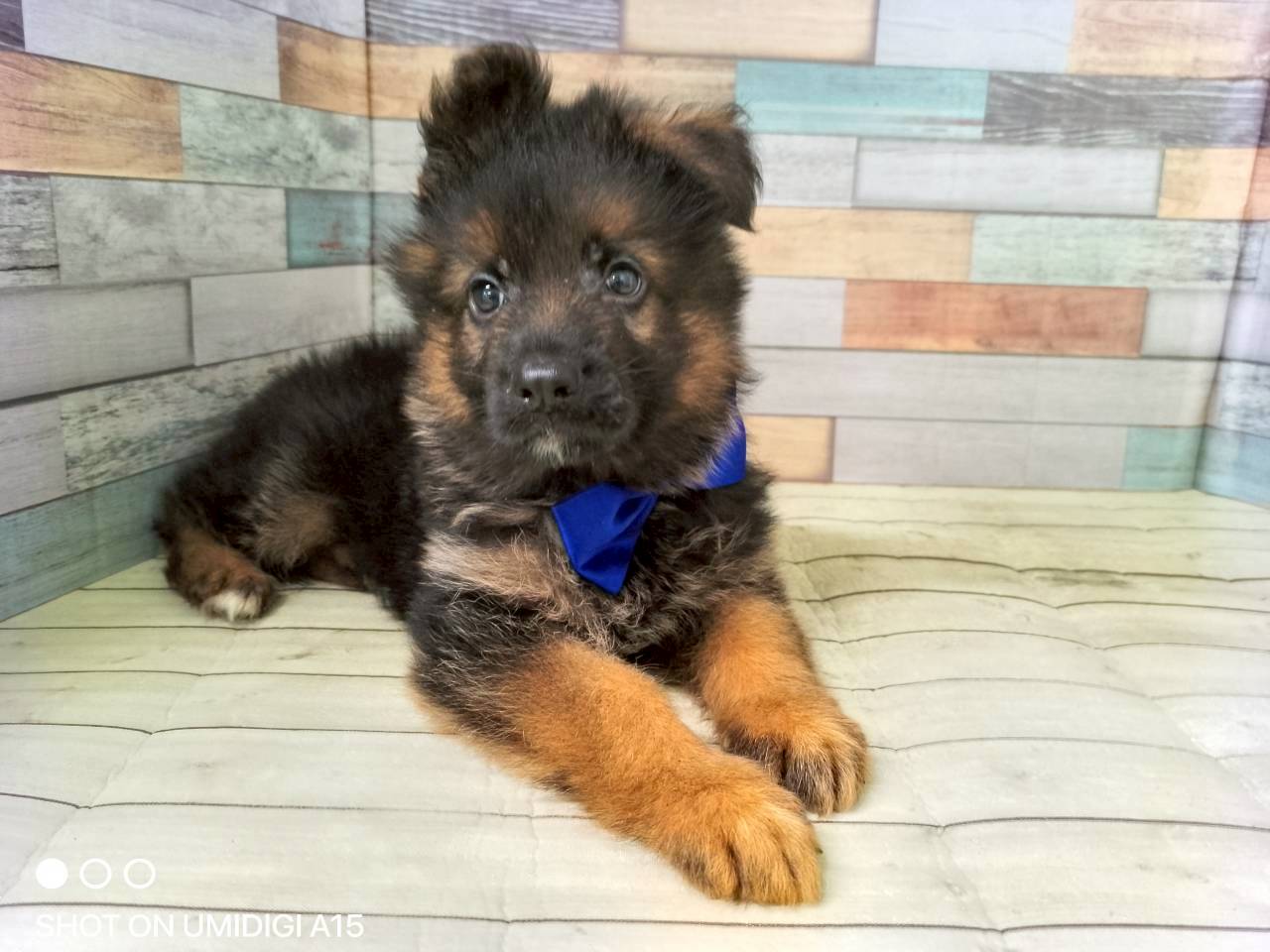 赤ちゃん写真3-1