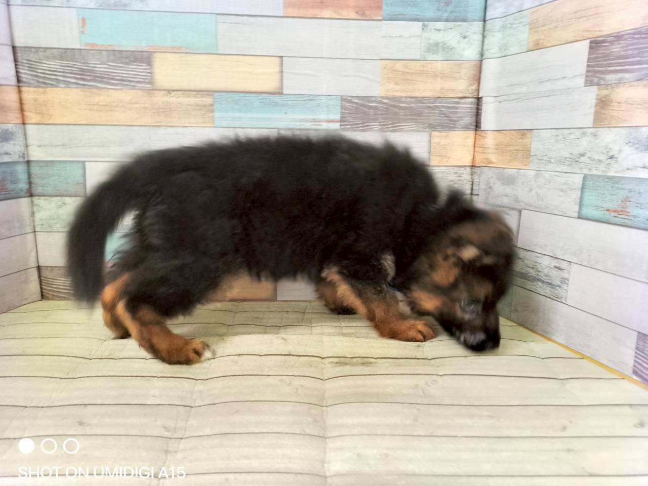 赤ちゃん写真3-2