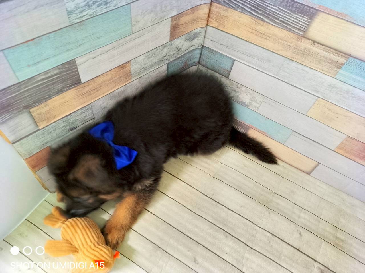 赤ちゃん写真3-3