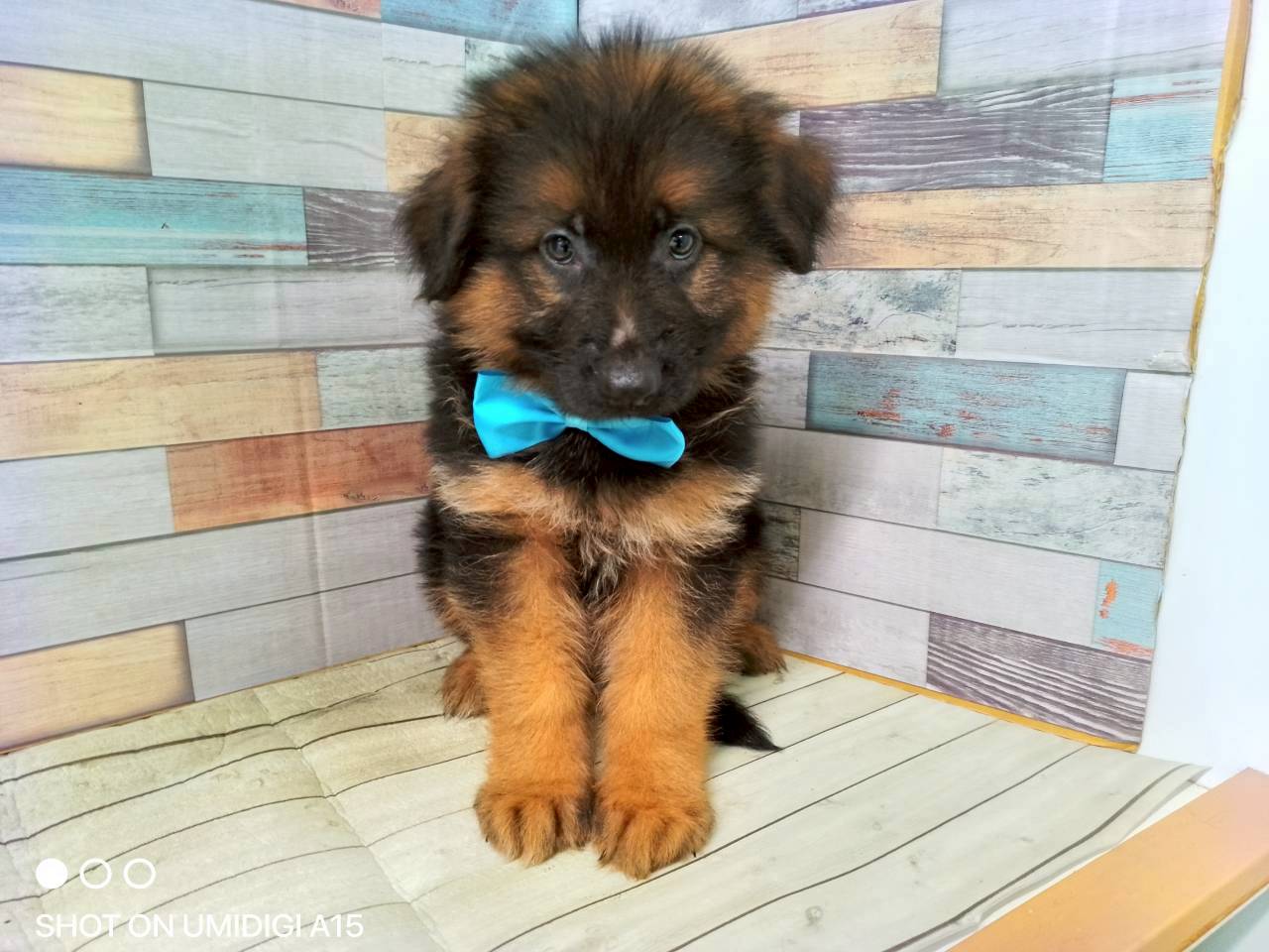 赤ちゃん写真3-1