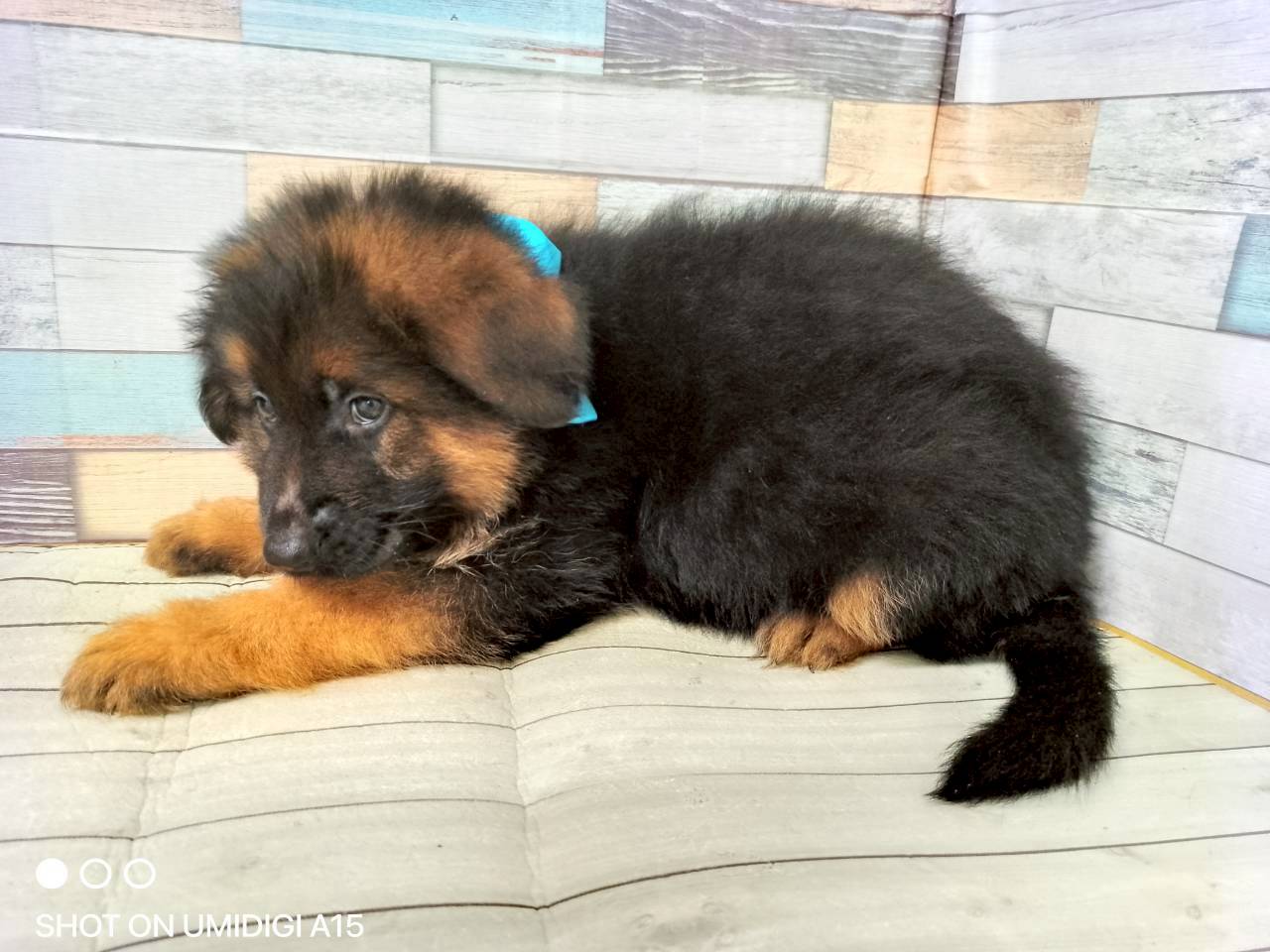 赤ちゃん写真3-2