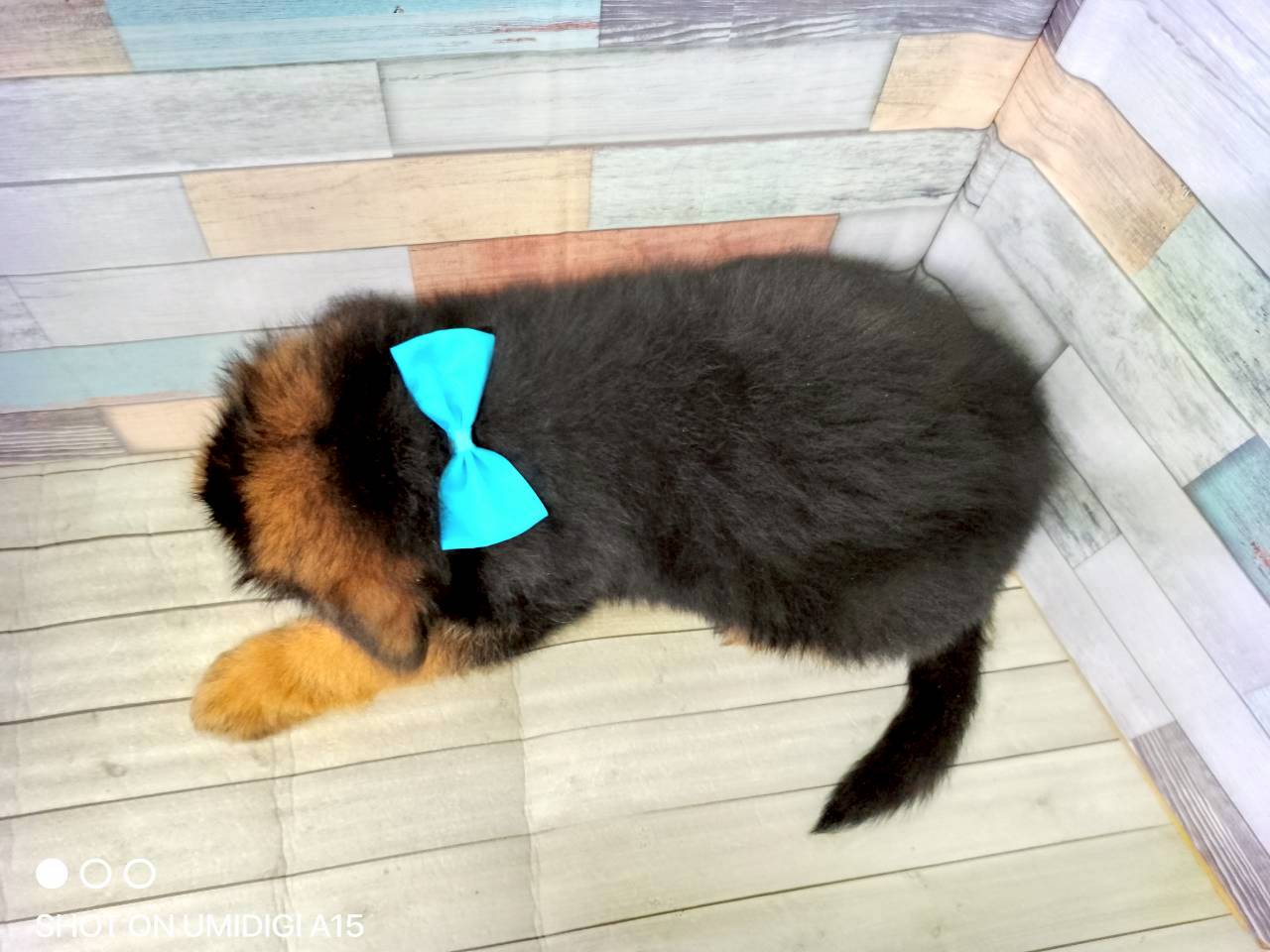 赤ちゃん写真3-3