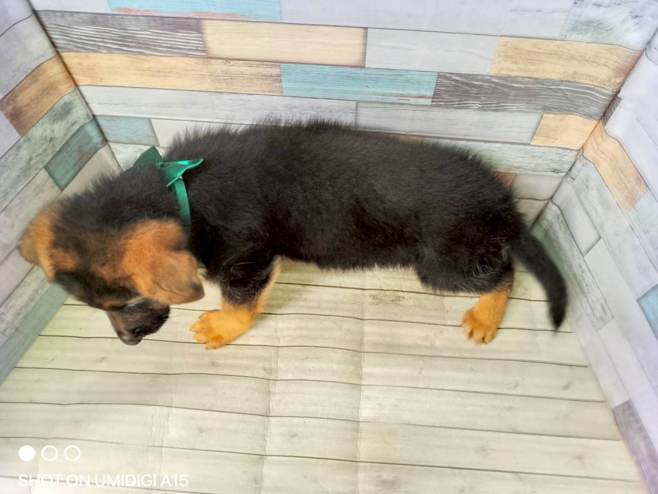 赤ちゃん写真3-3