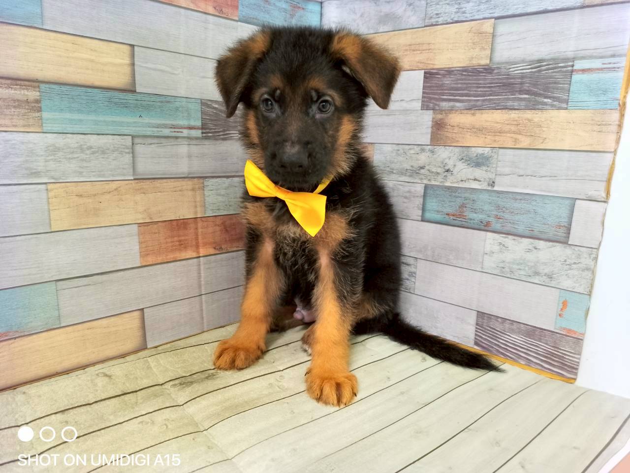 赤ちゃん写真3-1