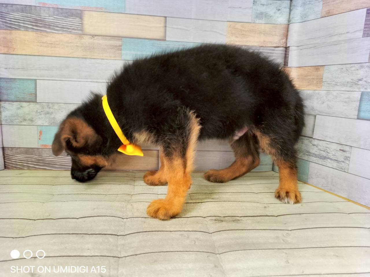 赤ちゃん写真3-2