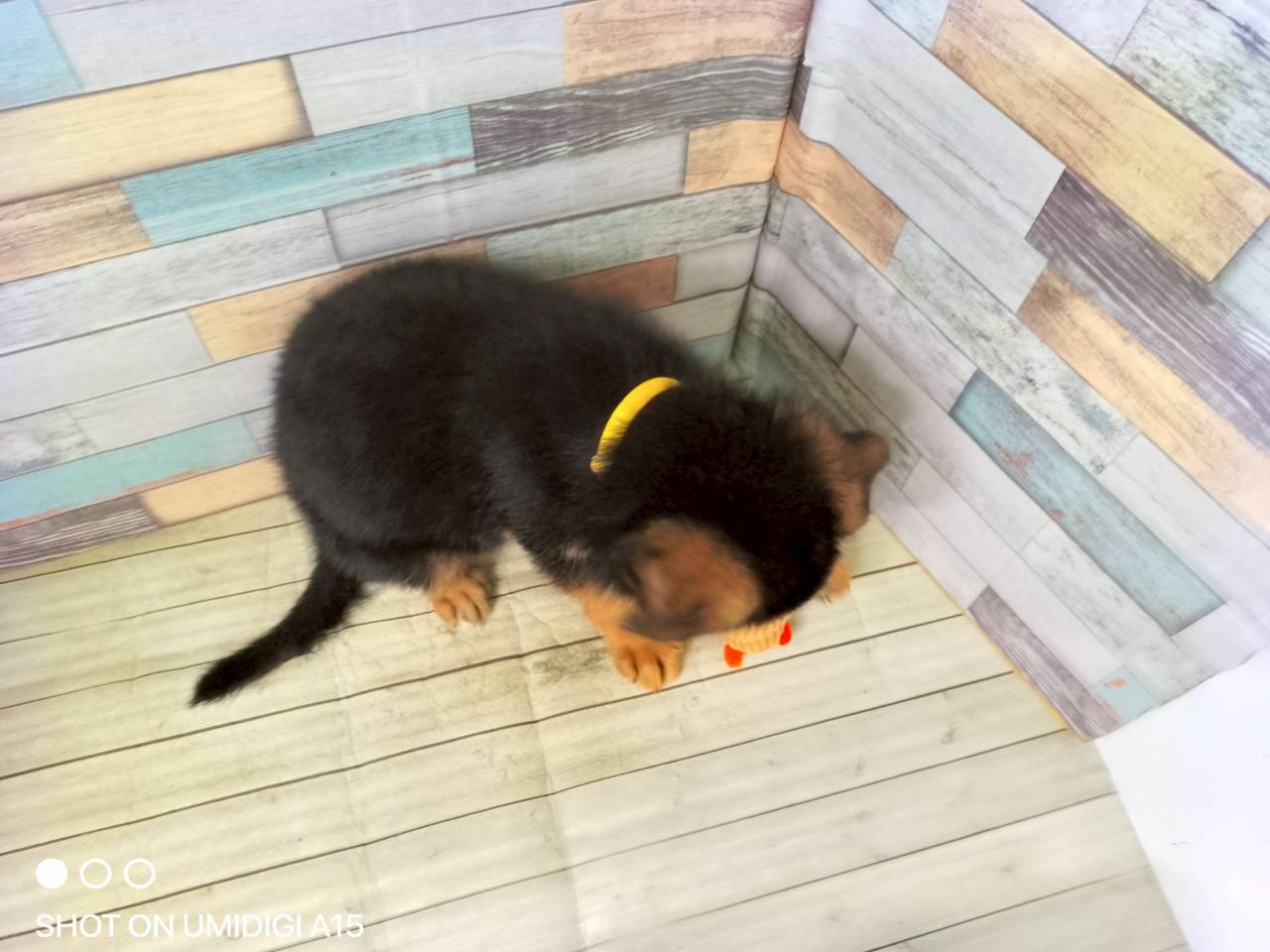 赤ちゃん写真3-3