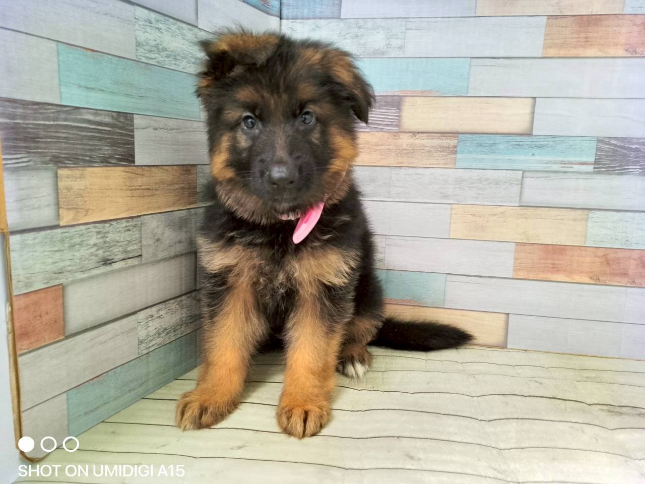 赤ちゃん写真3-1