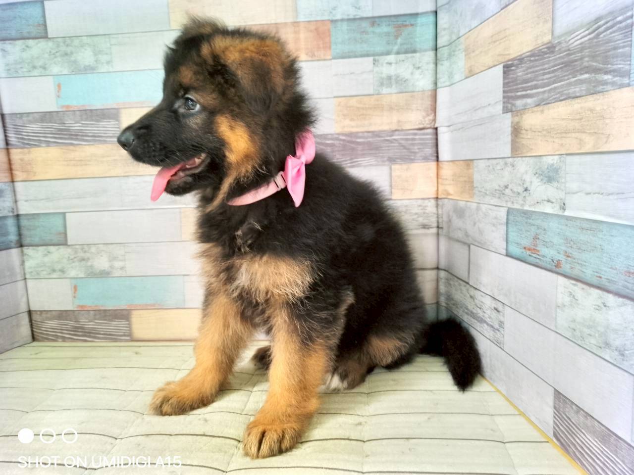 赤ちゃん写真3-2