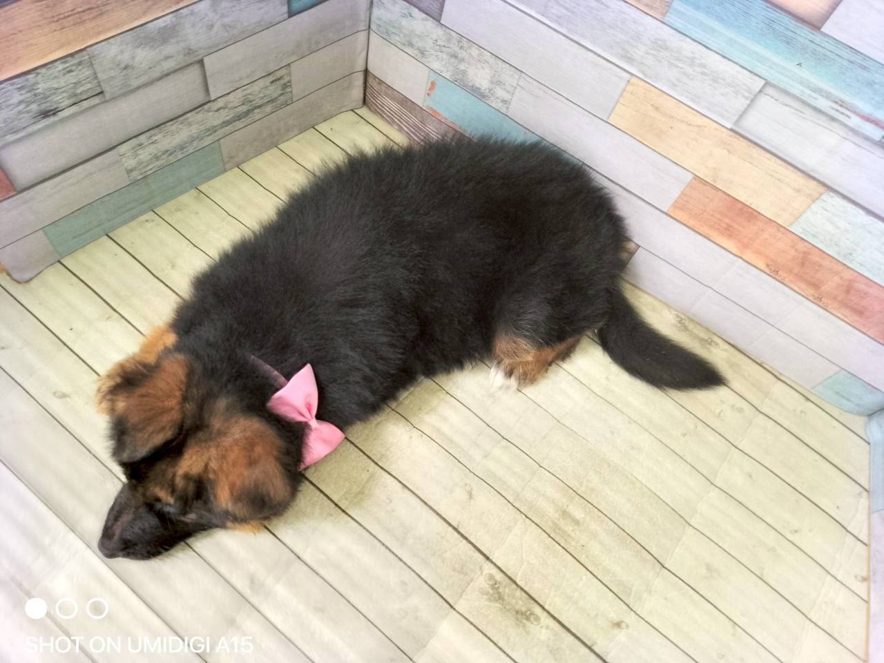 赤ちゃん写真3-3