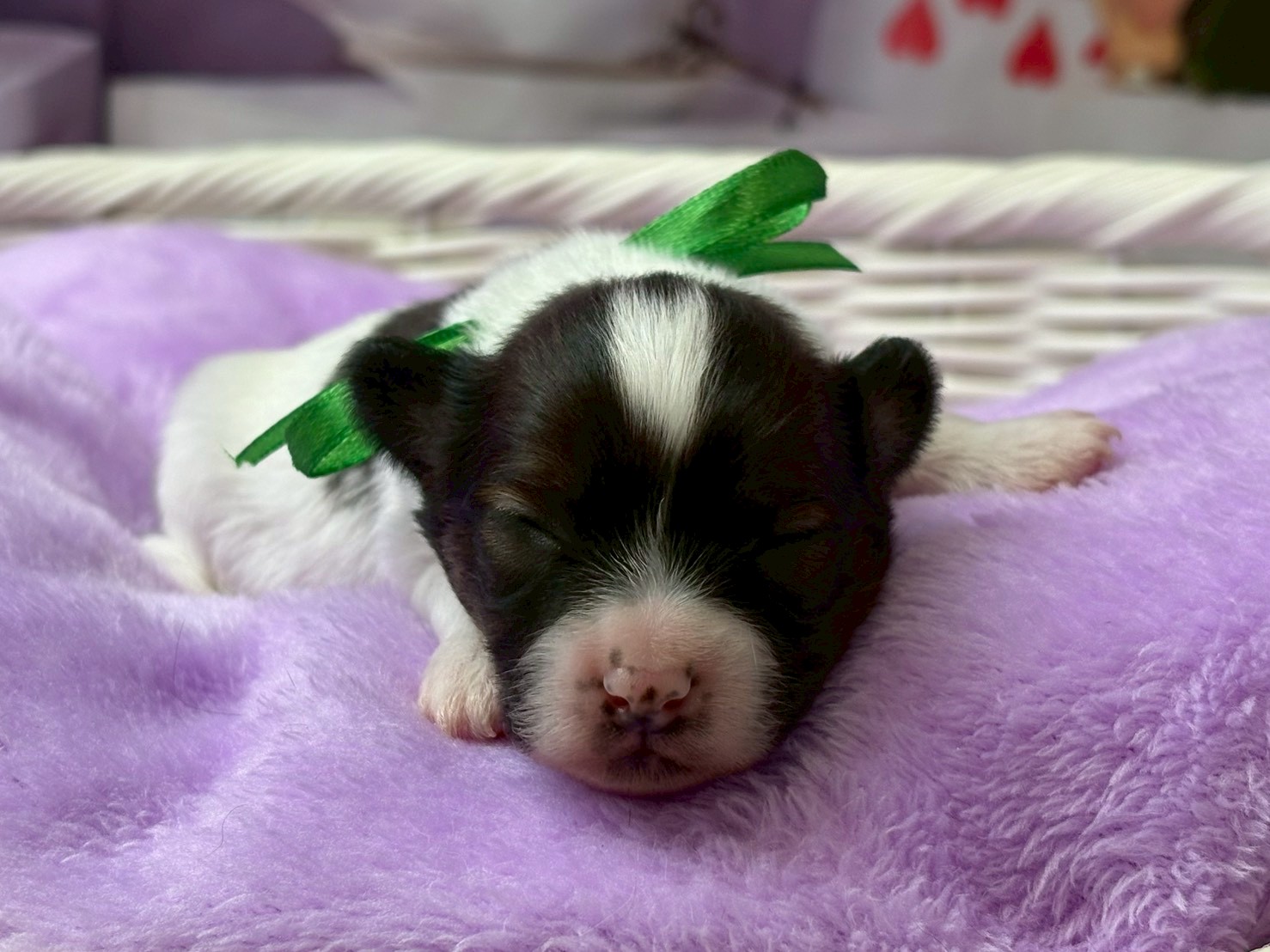 赤ちゃん写真1-1