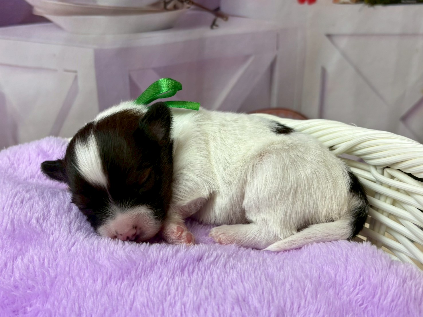 赤ちゃん写真1-2