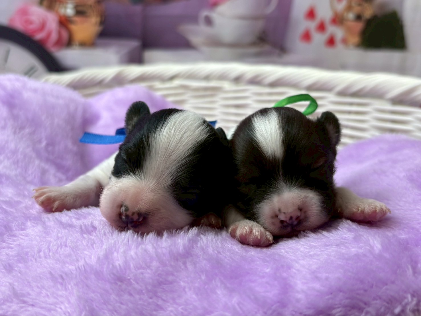 赤ちゃん写真1-3