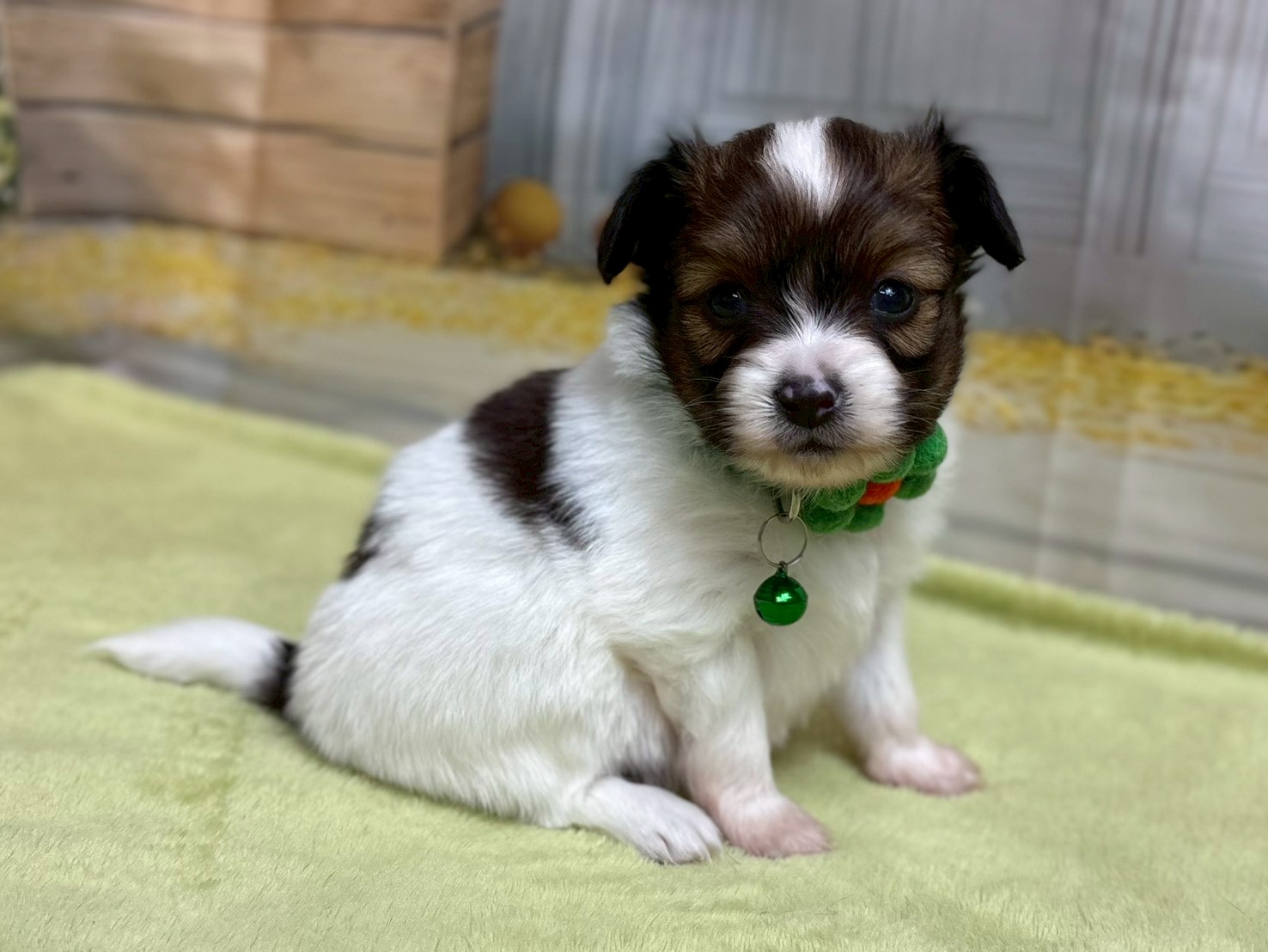 赤ちゃん写真2-2