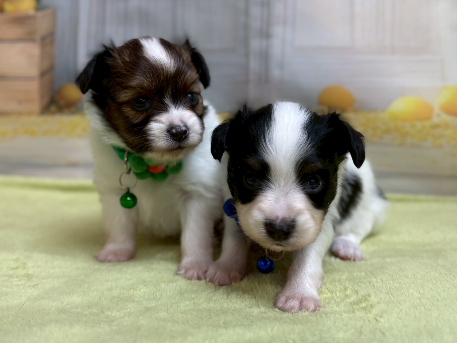 赤ちゃん写真2-3