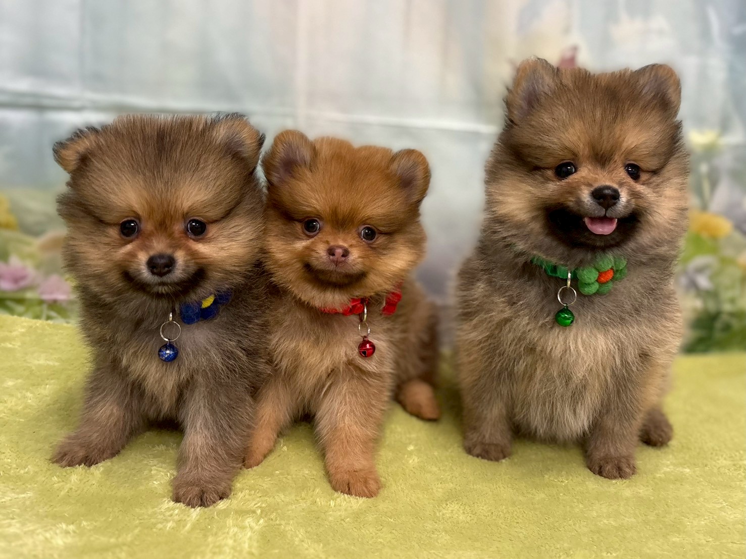 赤ちゃん写真3-3