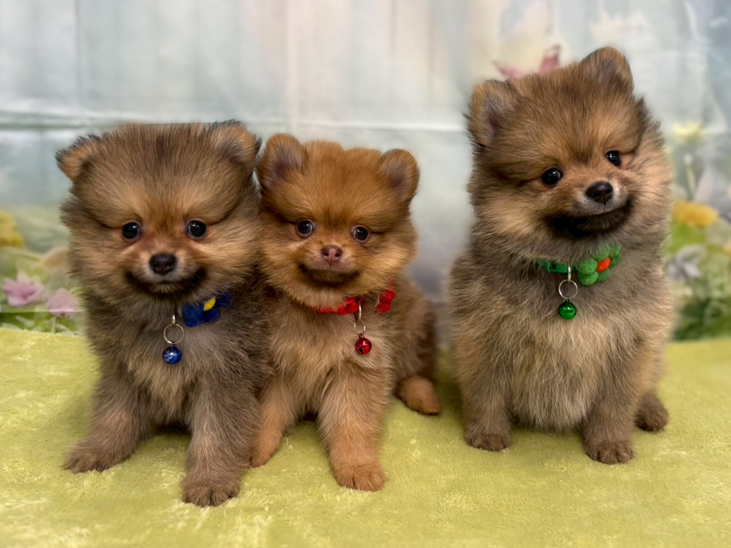 赤ちゃん写真3-3