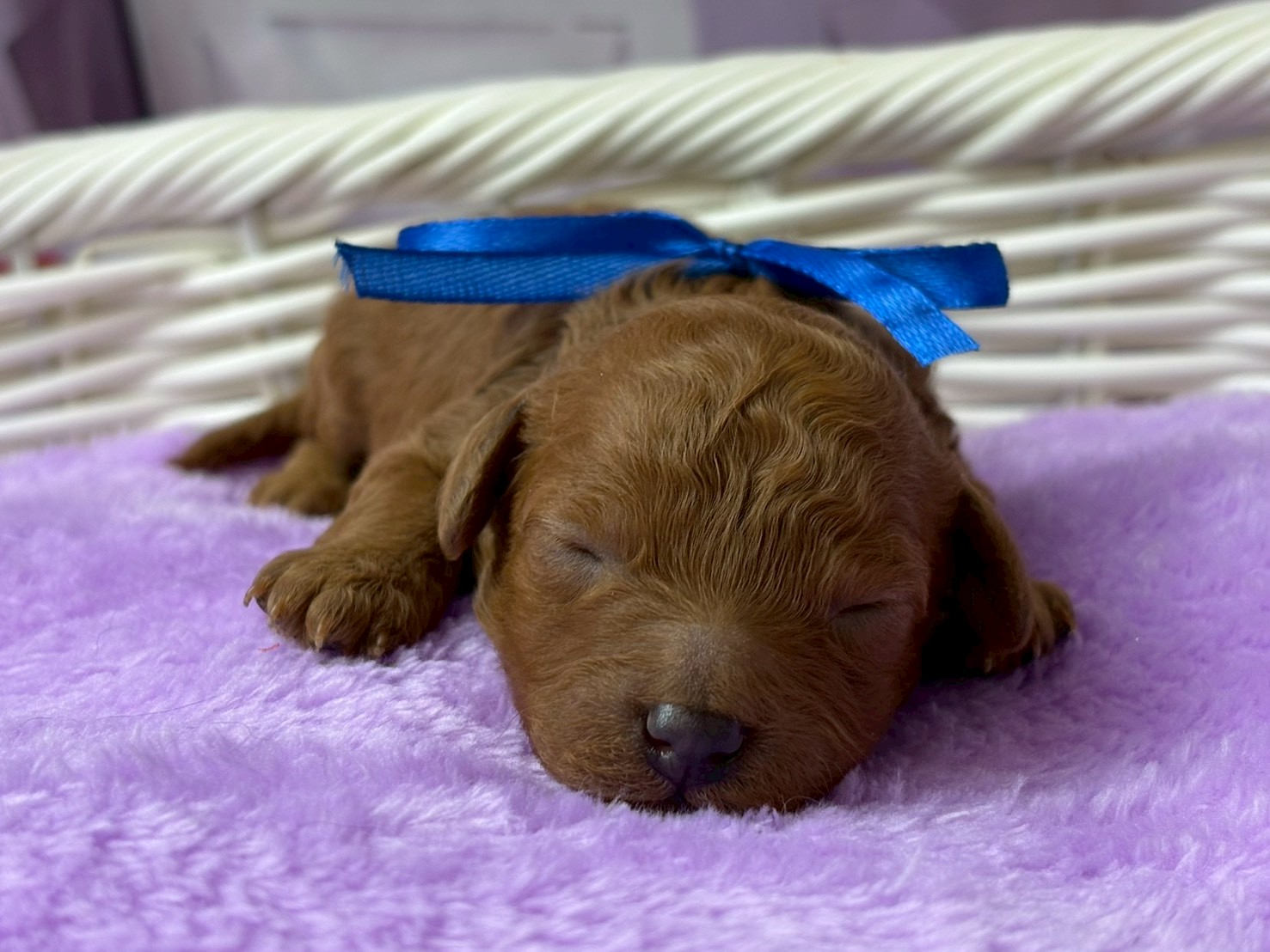 赤ちゃん写真1-1