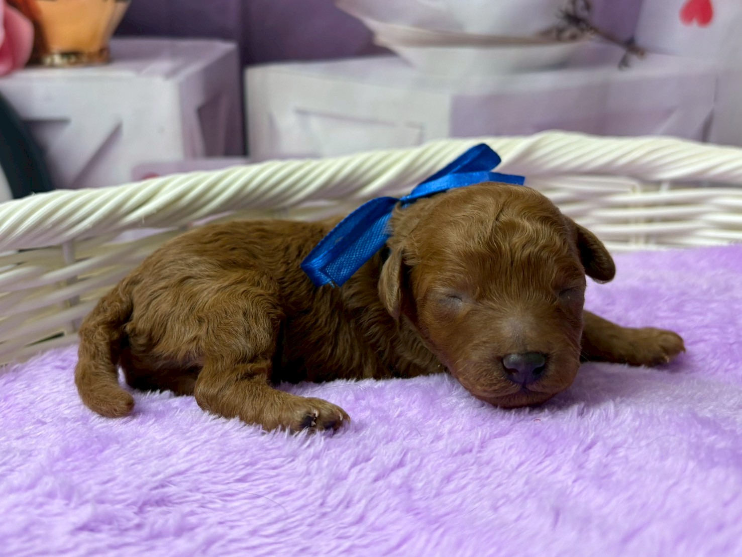 赤ちゃん写真1-2