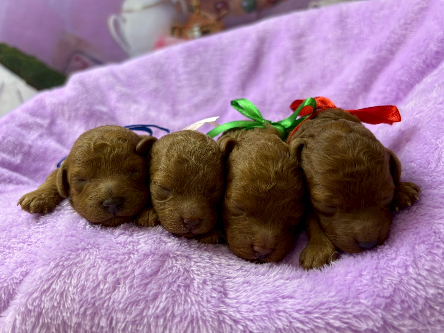 赤ちゃん写真1-3