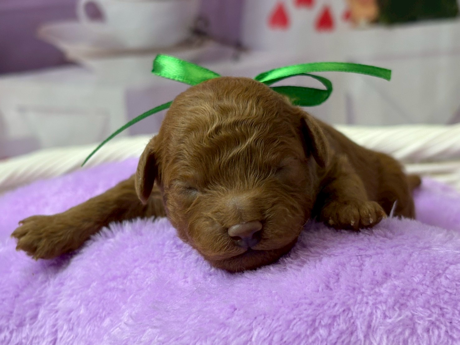 赤ちゃん写真1-1