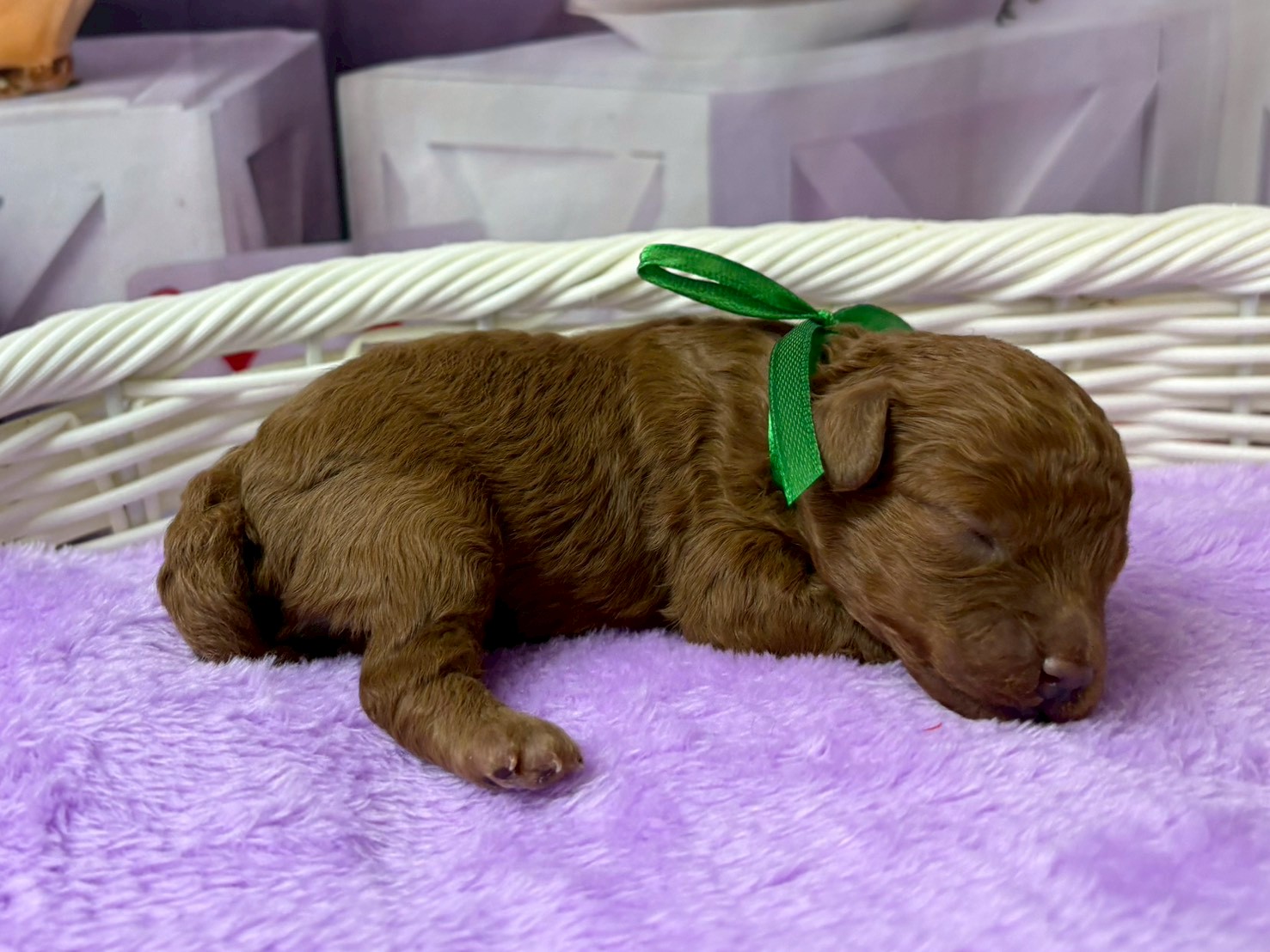 赤ちゃん写真1-2