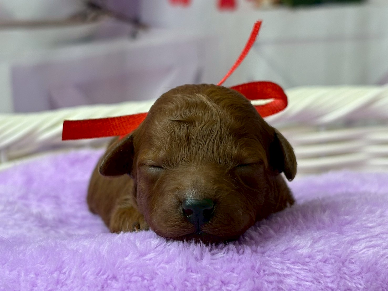 赤ちゃん写真1-1