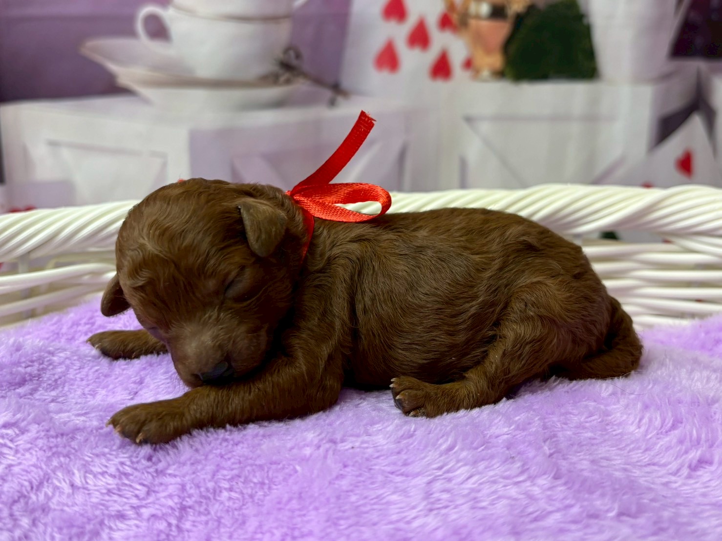 赤ちゃん写真1-2