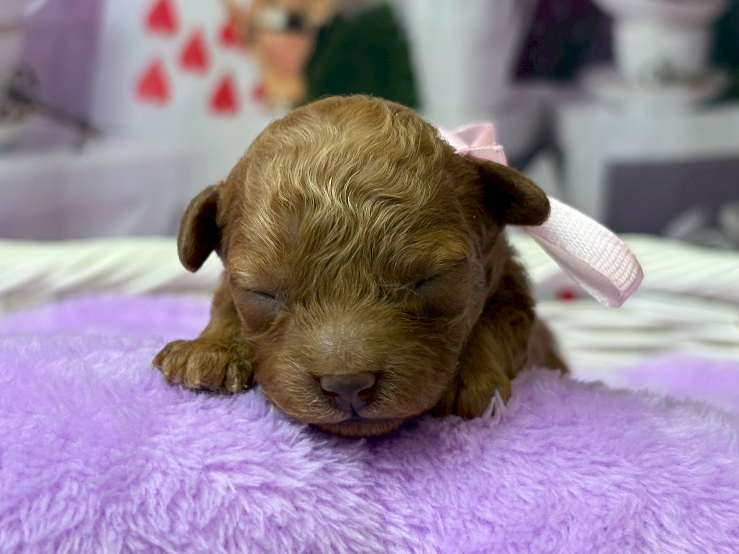 赤ちゃん写真1-1