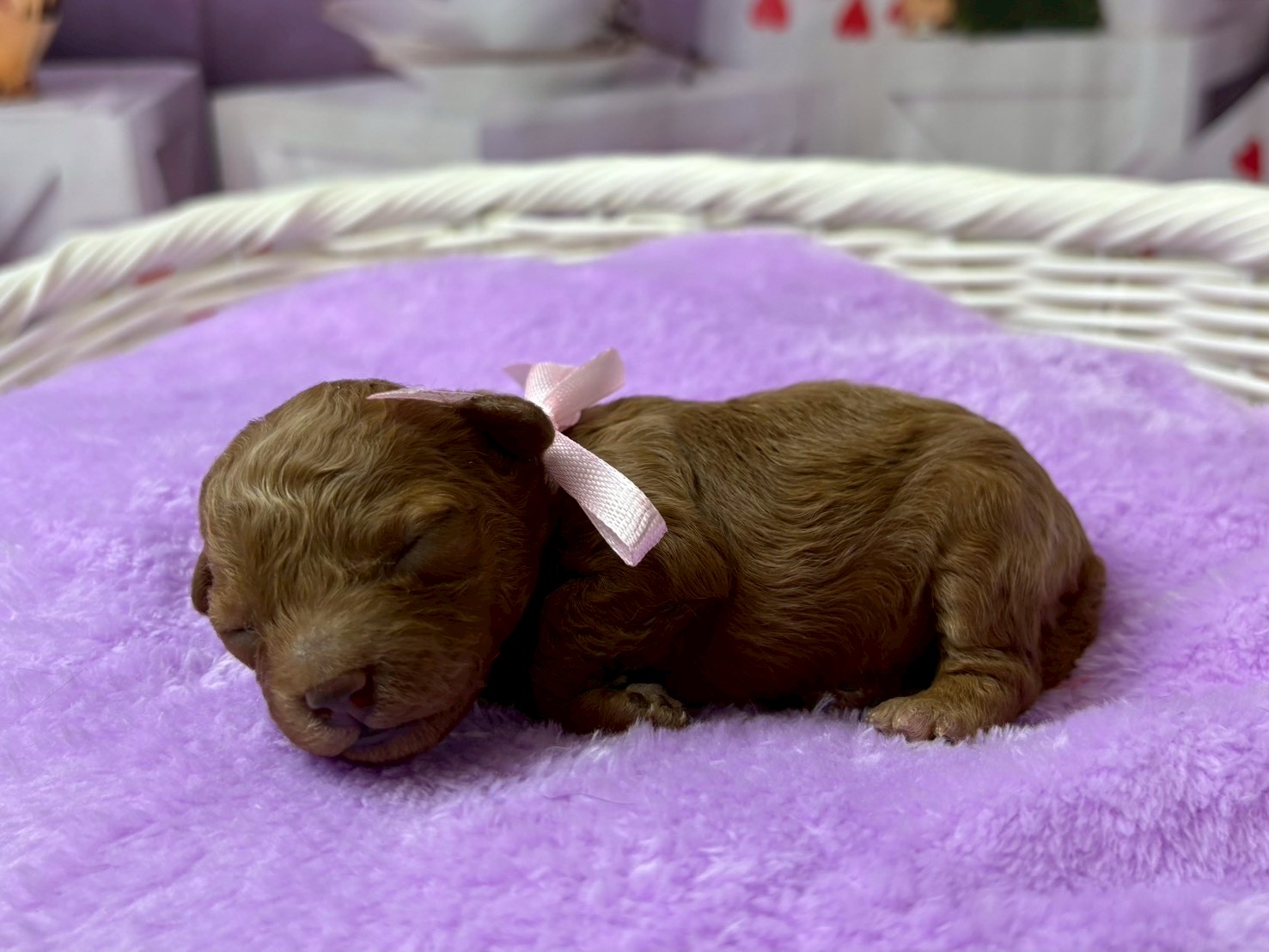 赤ちゃん写真1-2