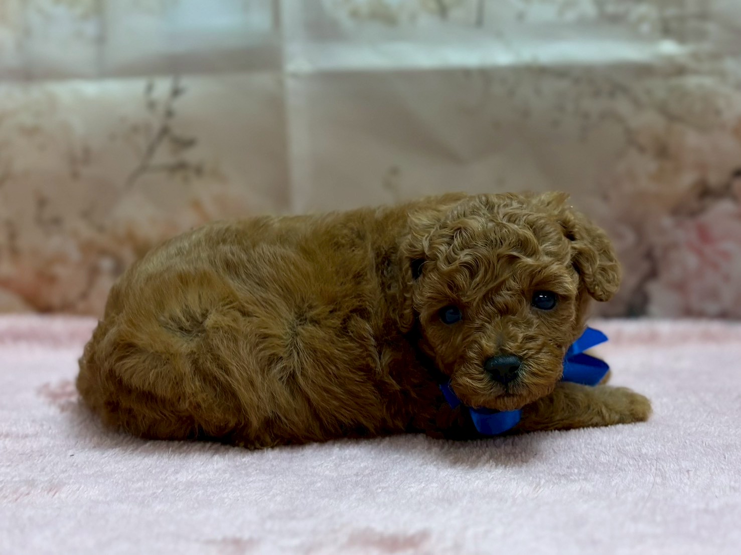 赤ちゃん写真2-2