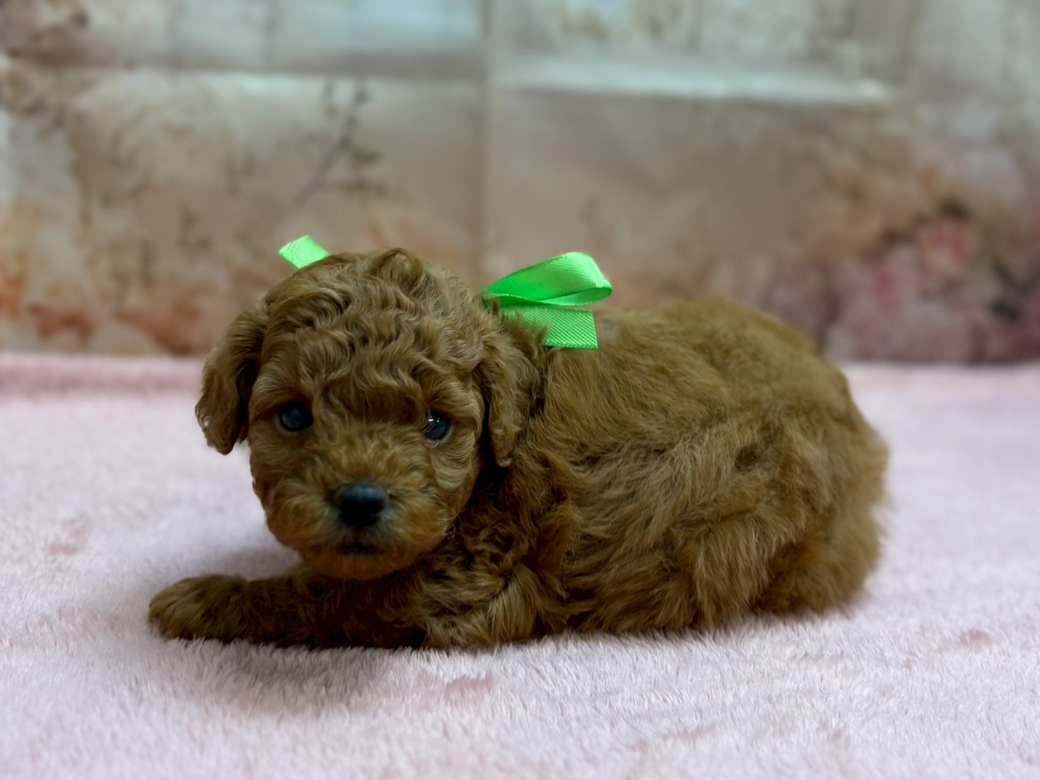 赤ちゃん写真2-2