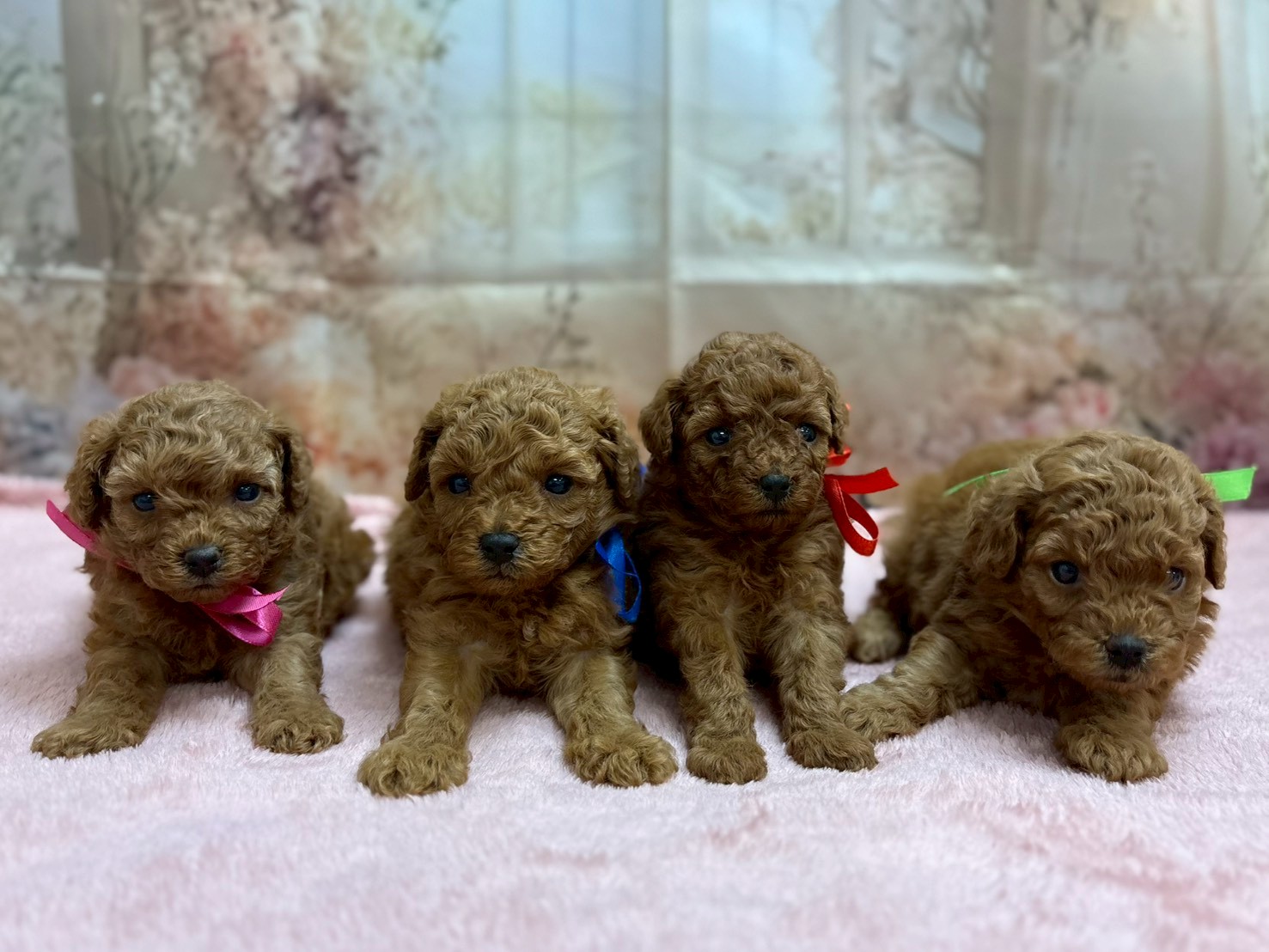 赤ちゃん写真2-3