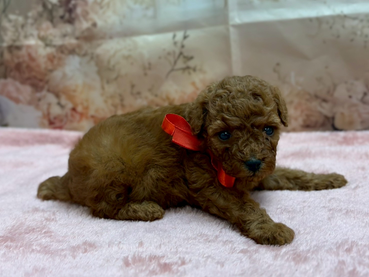 赤ちゃん写真2-2