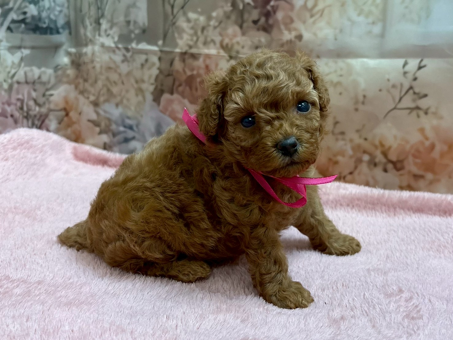 赤ちゃん写真2-2