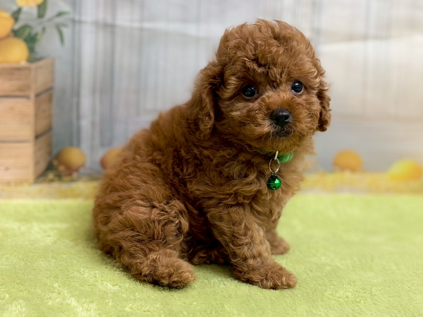 赤ちゃん写真3-2