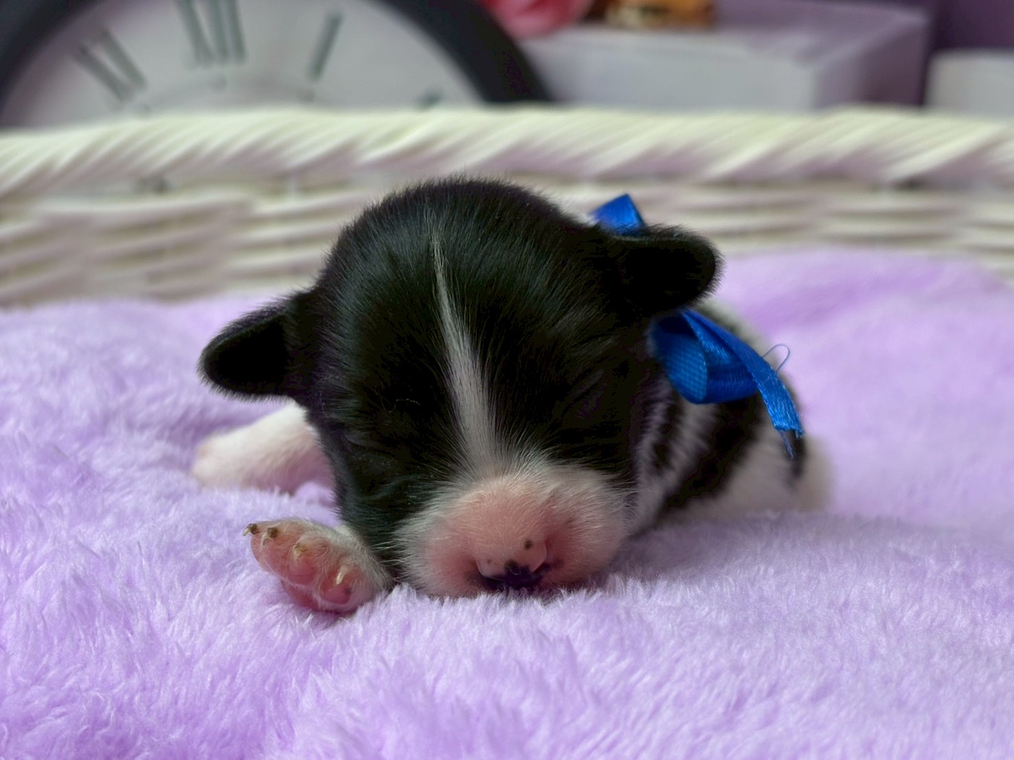 赤ちゃん写真1-1