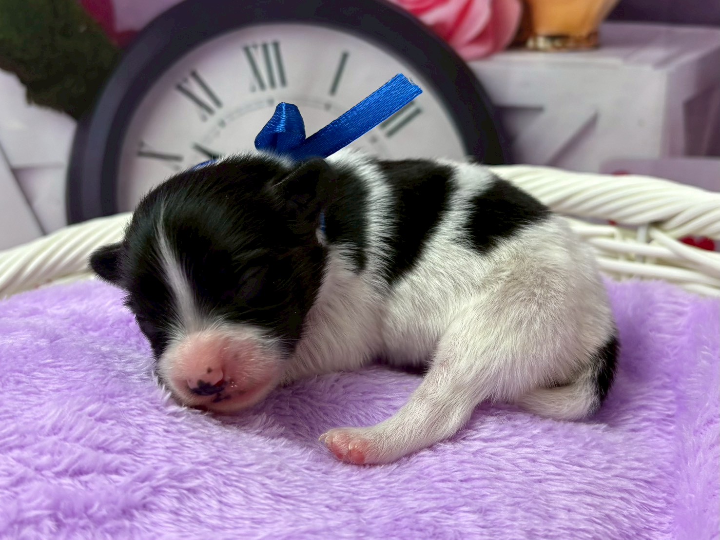 赤ちゃん写真1-2