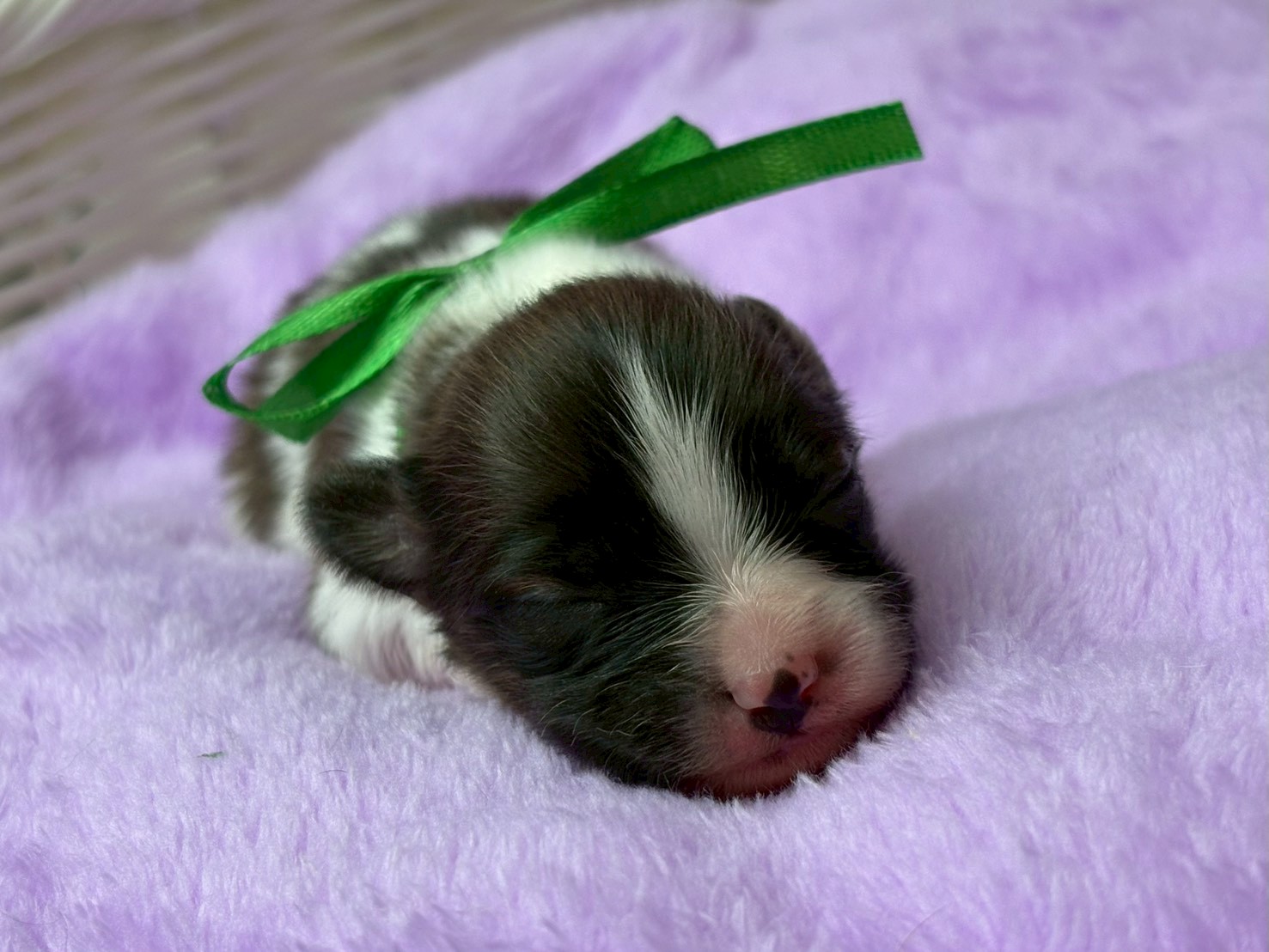 赤ちゃん写真1-1