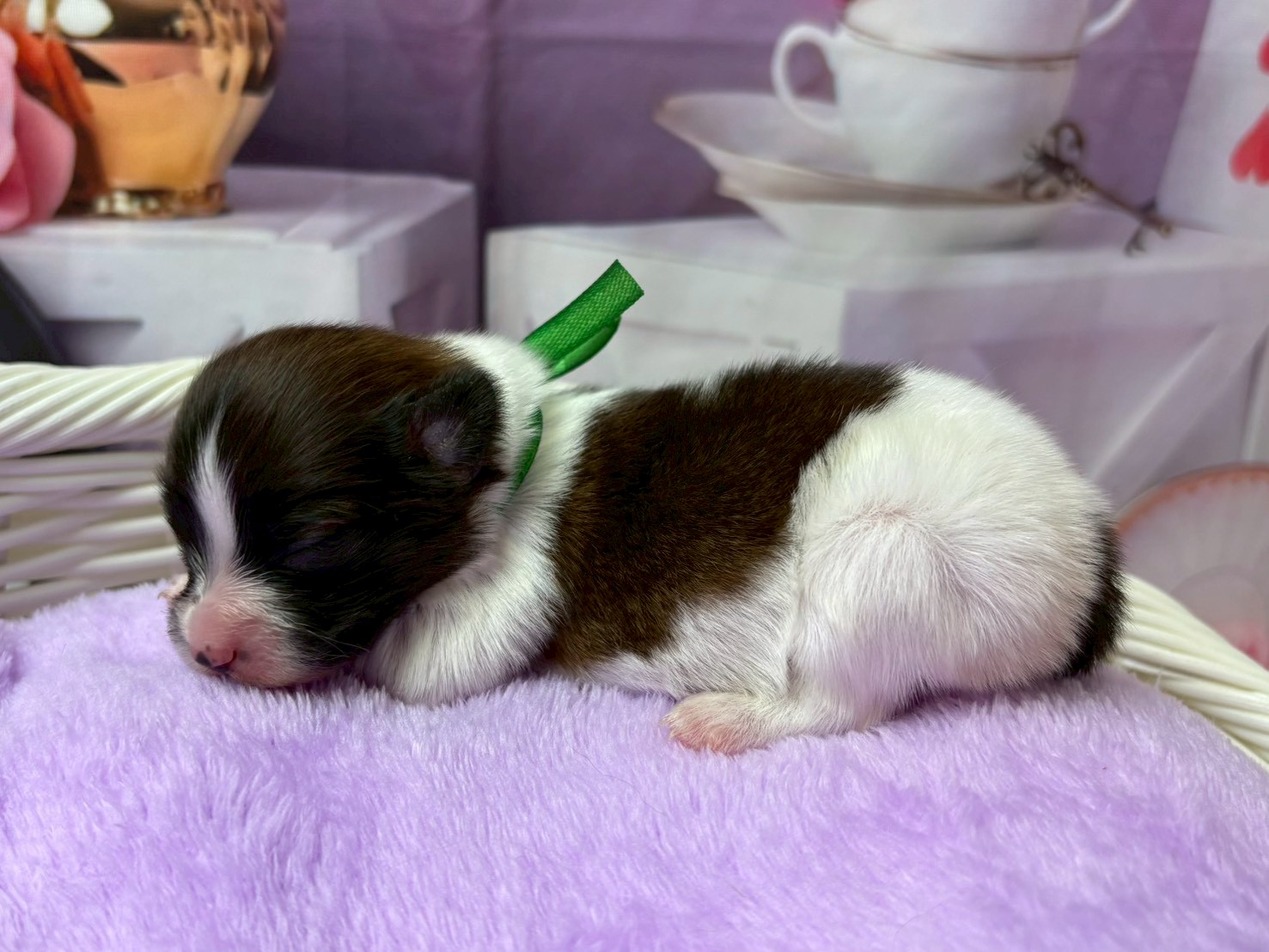 赤ちゃん写真1-2