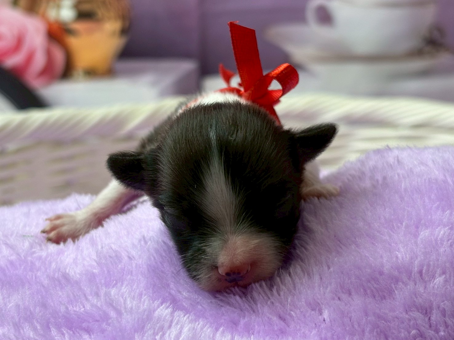 赤ちゃん写真1-1