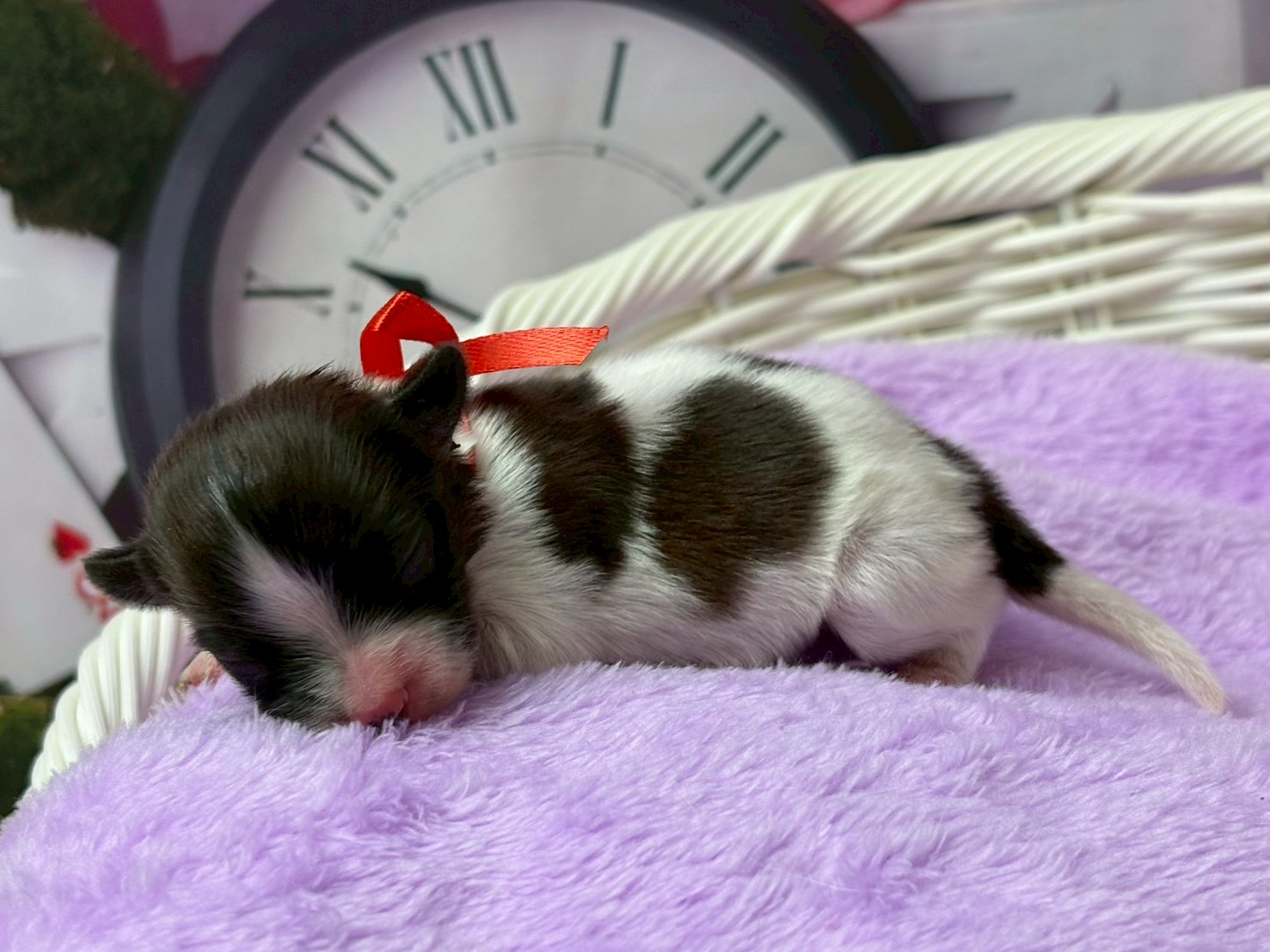 赤ちゃん写真1-2