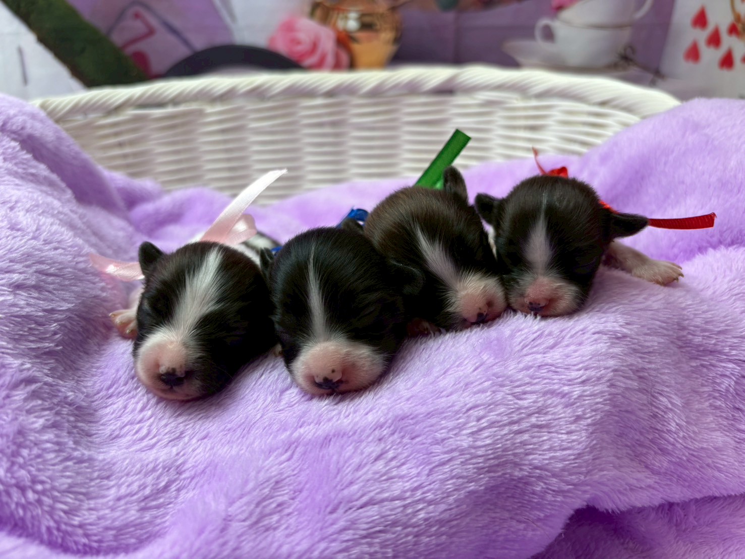 赤ちゃん写真1-3