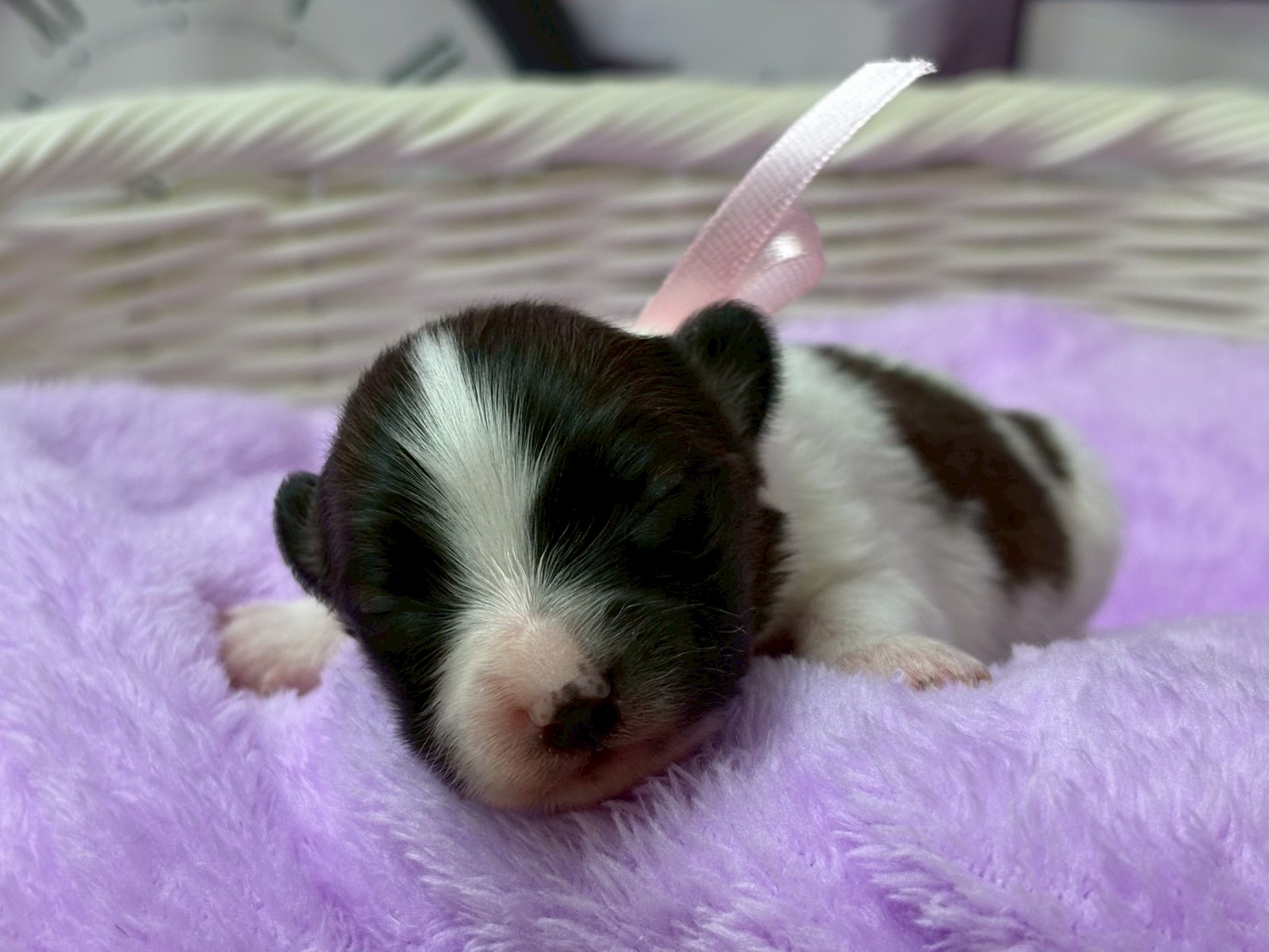 赤ちゃん写真1-1